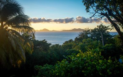 Ecovacances paradisiaques sur l’île papillon